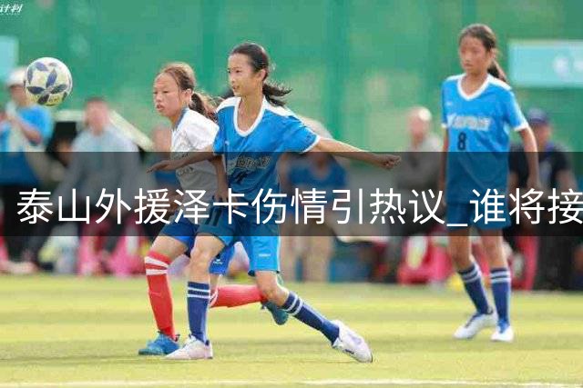 泰山外援泽卡伤情引热议 谁将接替锋线重任